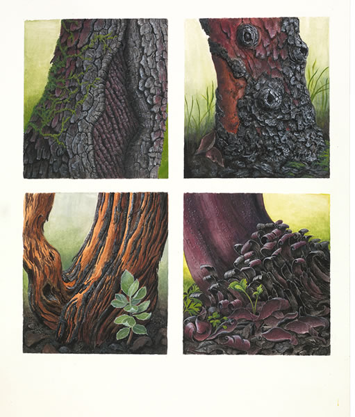 Old Burnt Stump with Waxy Cap Mushrooms